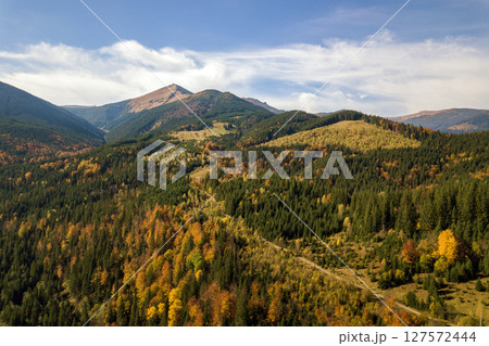 Aerial view of autumn mountain landscape with evergreen pine trees and yellow fall forest with magestic mountains in distance. 127572444