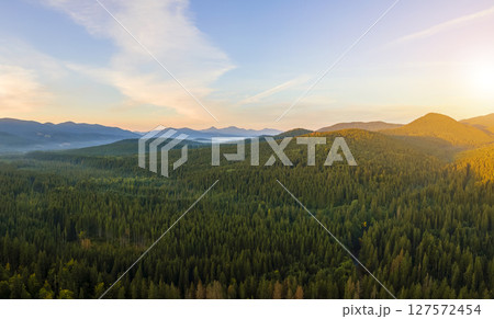 Aerial view of amazing scenery with dark mountain hills covered with forest pine trees at autumn sunrise. Beautiful wild woodland at dawn 127572454