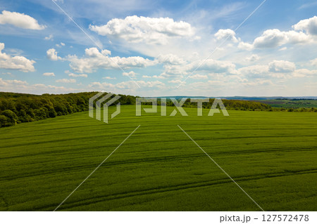 Aerial landscape view of green cultivated agricultural fields with growing crops on bright summer day. 127572478