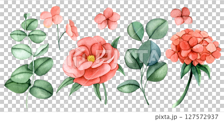 set of pink eucalyptus flowers and leaves. watercolor illustration peony flowers, hydrangea clipart 127572937