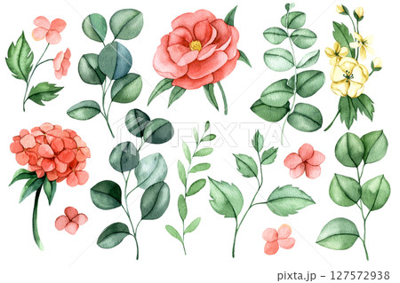 set of pink eucalyptus flowers and leaves. watercolor illustration peony flowers, hydrangea clipart set of pink eucalyptus flowers and leaves. watercolor illustration peony flowers, hydrangea clipart 127572938