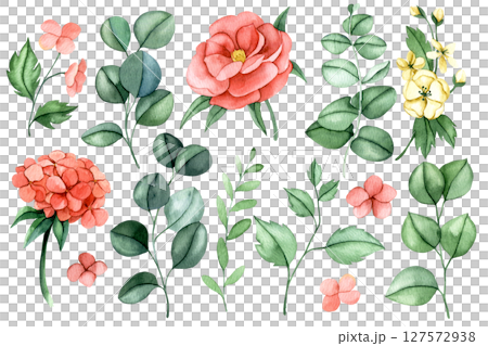 set of pink eucalyptus flowers and leaves. watercolor illustration peony flowers, hydrangea clipart 127572938