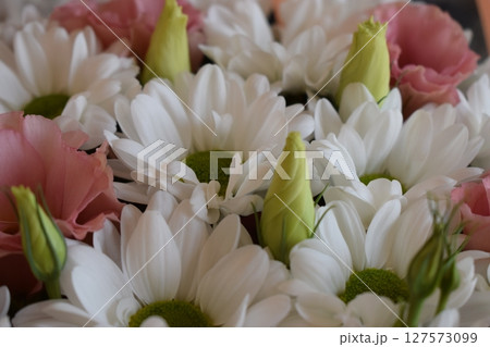 Elegant Mix of Bloomed Flowers and Unopened Buds Elegant Mix of Bloomed Flowers and Unopened Buds 127573099