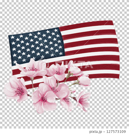 Flag of the United States of America in blooming pink flowers. Cherry blossom festival in Washington D.C. Spring festival. Watercolor illustration without background. Hand drawn. High quality 127573109