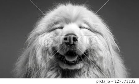 Funny happy pet with joyful expression 127573132