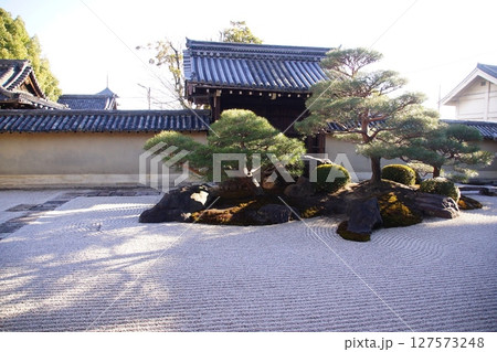 京都府　東寺 観智院・涅槃禄の庭「長者の庭」枯山水 京都市 南区 九条町　2022年2月 127573248