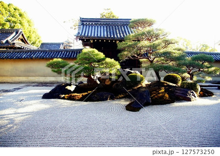 京都府 東寺 観智院・涅槃禄の庭「長者の庭」枯山水 京都市 南区 九条町 2022年2月 京都府 東寺 観智院・涅槃禄の庭「長者の庭」枯山水 京都市 南区 九条町 2022年2月 127573250