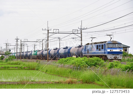 東北本線 栗橋-東鷲宮 JR貨物 EF210-116(新鶴見) 東北本線 栗橋-東鷲宮 JR貨物 EF210-116(新鶴見) 127573453