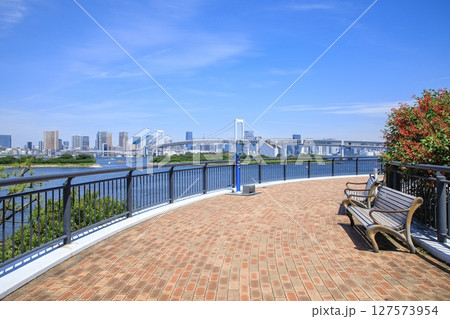 東京都、お台場海浜公園展望デッキから眺めるレインボーブリッジと東京のビル群 東京都、お台場海浜公園展望デッキから眺めるレインボーブリッジと東京のビル群 127573954