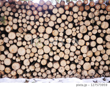 A pile of logs with a lot of wood stacked up A pile of logs with a lot of wood stacked up 127573959