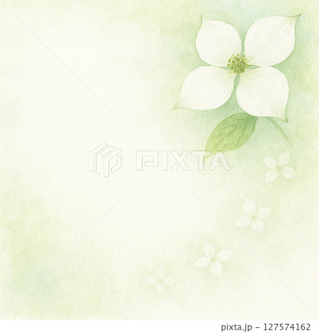 白い花の優美なグリーン水彩背景 127574162