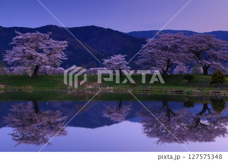 水面に映る桜 水面に映る桜 127575348