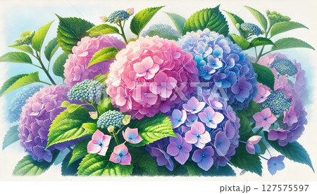 紫陽花のある風景 127575597
