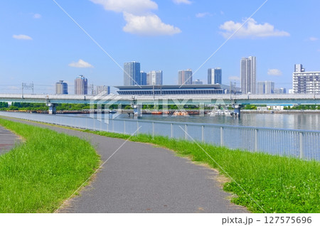 東京都江東区夢の島公園周辺2025年6月 東京都江東区夢の島公園周辺2025年6月 127575696