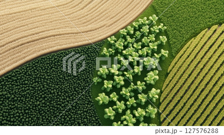 Aerial perspective of agricultural fields Aerial perspective of agricultural fields 127576288