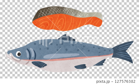 Salmon fillet set watercolor hand-drawn illustration 127576382
