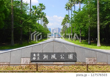 東京都港区潮風公園周辺2025年6月 127576503