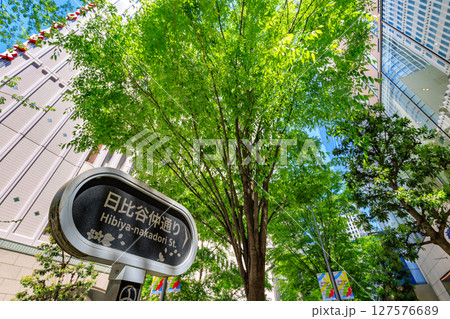 東京　千代田区　有楽町の都市風景　日比谷仲通り 127576689