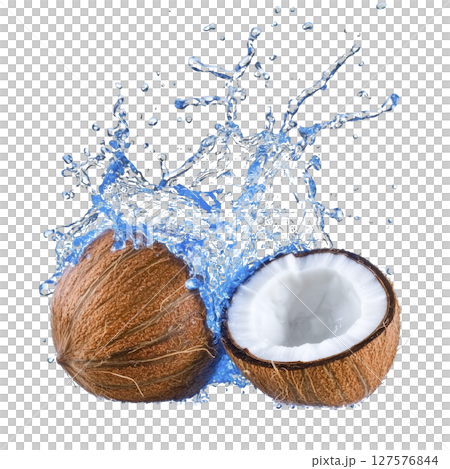 Whole coconut and halved coconut with water splashing around them create refreshing and tropical vibe. brown shell contrasts with white flesh and blue water splash 127576844