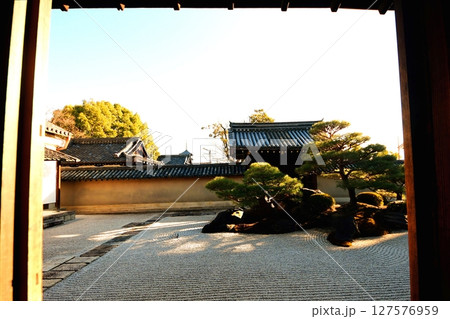 京都府 東寺 観智院・涅槃禄の庭「長者の庭」枯山水 京都市 南区 九条町 2022年2月 京都府 東寺 観智院・涅槃禄の庭「長者の庭」枯山水 京都市 南区 九条町 2022年2月 127576959
