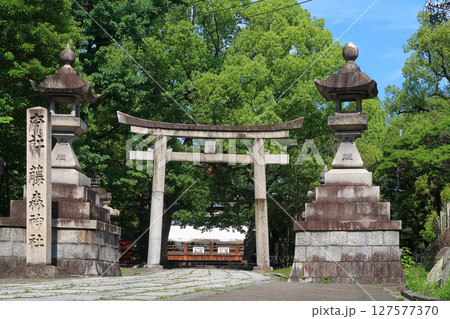京都　寺社仏閣　藤森神社　伏見　馬　勝馬　　初夏　梅雨 127577370