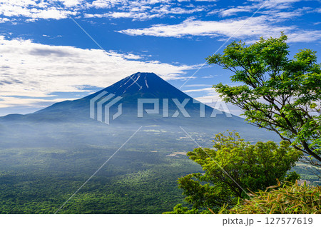 快晴の空と初夏の富士山の絶景（竜ヶ岳展望） 127577619