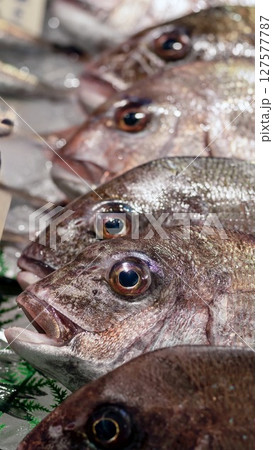 新鮮な魚 127577787