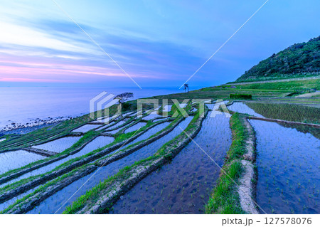 日没後の初夏の白米千枚田 石川県輪島市 日没後の初夏の白米千枚田 石川県輪島市 127578076