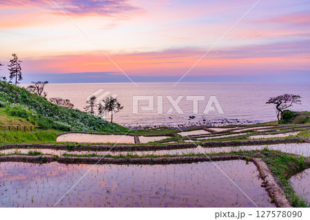 日没後の初夏の白米千枚田 石川県輪島市 日没後の初夏の白米千枚田 石川県輪島市 127578090