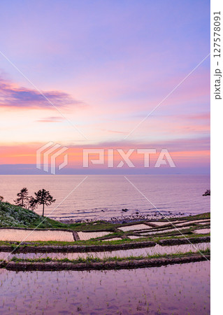 日没後の初夏の白米千枚田　石川県輪島市 127578091