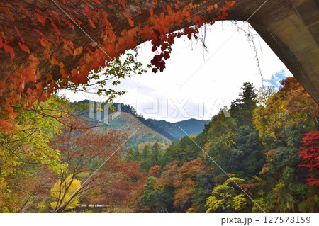 紅葉シーズンの御岳渓谷 東京 紅葉シーズンの御岳渓谷 東京 127578159