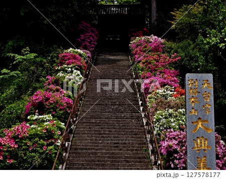 大興善寺の風景 127578177