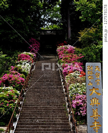 大興善寺の風景 127578178