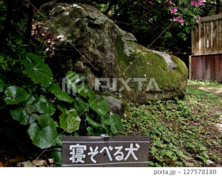 大興善寺の風景 大興善寺の風景 127578180