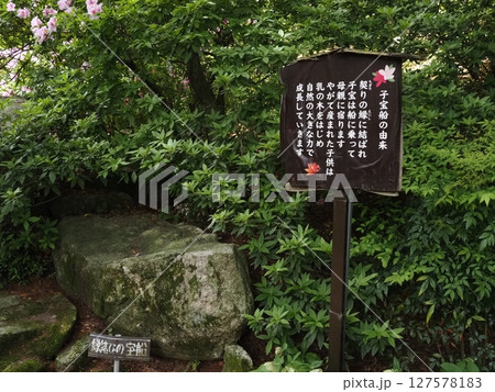 大興善寺の風景 大興善寺の風景 127578183