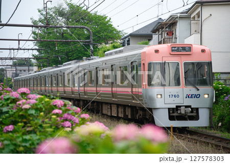 京王井の頭線 京王井の頭線 127578303