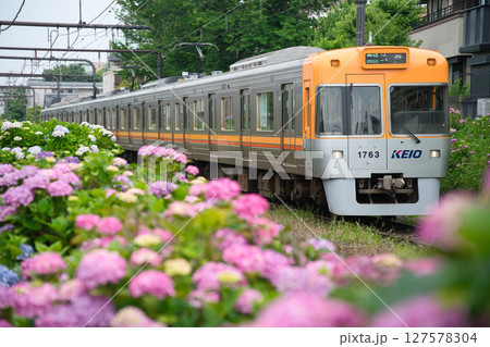 京王井の頭線 京王井の頭線 127578304