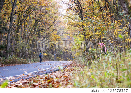 紅葉の道をサイクリングで楽しむイメージ（恩原湖周辺） 127578537