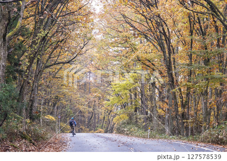 紅葉の道をサイクリングで楽しむイメージ(恩原湖周辺) 紅葉の道をサイクリングで楽しむイメージ(恩原湖周辺) 127578539