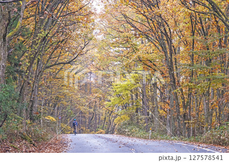 紅葉の道をサイクリングで楽しむイメージ（恩原湖周辺） 127578541