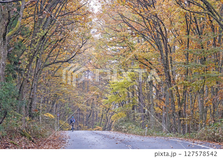 紅葉の道をサイクリングで楽しむイメージ（恩原湖周辺） 127578542