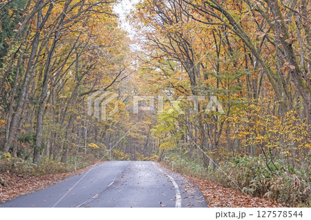 紅葉の道をサイクリングで楽しむイメージ（恩原湖周辺） 127578544