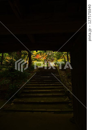 紅葉が美しい寺の山門 127578840