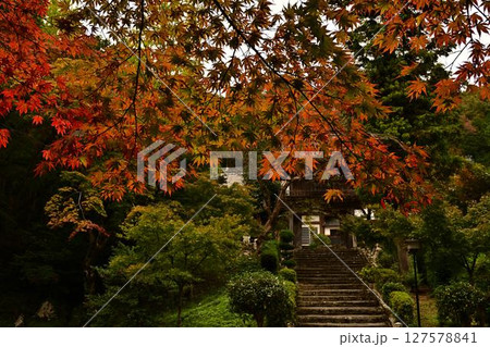 紅葉に包まれた寺院の参道 紅葉に包まれた寺院の参道 127578841