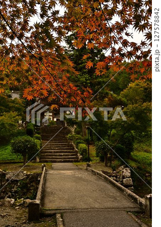 紅葉に覆われた参道 紅葉に覆われた参道 127578842