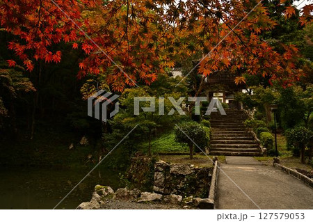 紅葉に包まれた寺院の参道 127579053