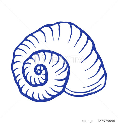 Blue Seashell hand draw vector illustration. Spiral mollusc in doodle style Blue Seashell hand draw vector illustration. Spiral mollusc in doodle style 127579096