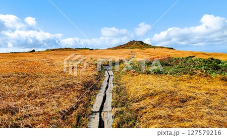 秋の栗駒山登山（栗駒山～秣岳：しろがね湿原） 127579216