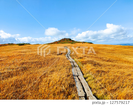 秋の栗駒山登山（栗駒山～秣岳：しろがね湿原） 127579217