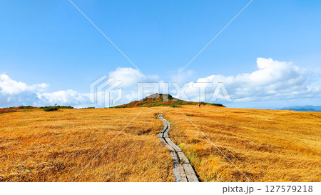 秋の栗駒山登山（栗駒山～秣岳：しろがね湿原） 127579218